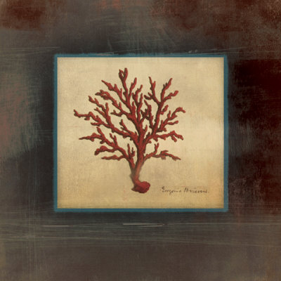 Coral Life Square II Print Coral Life Square II Print