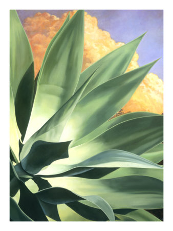 Agave Dreamscape Print Agave Dreamscape Print