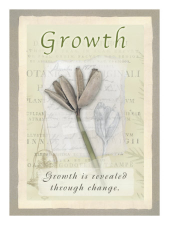 Growth Print Growth Print