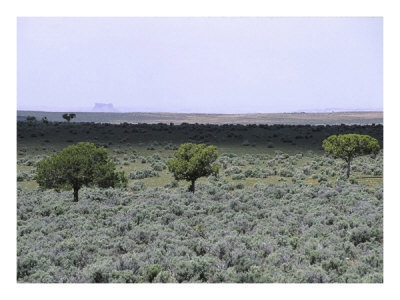 Desert Valley Print Desert Valley Print