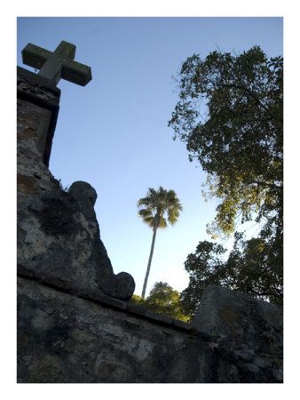 Palm Psalm Print Palm Psalm Print