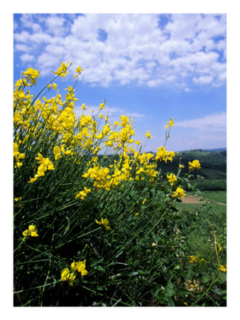 Beyond the Clouds Print Beyond the Clouds Print