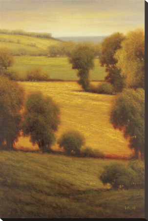 Ambre Valley Stretched Canvas Print Ambre Valley Stretched Canvas Print