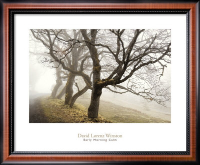 Early Morning Calm Framed Print Early Morning Calm Framed Print