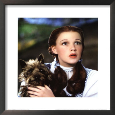The Wizard of Oz Framed Print The Wizard of Oz Framed Print