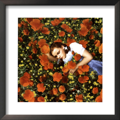 The Wizard of Oz Framed Print The Wizard of Oz Framed Print