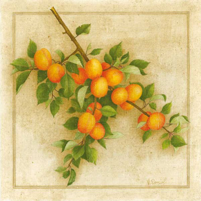 Abricots de Nancy Print Abricots de Nancy Print