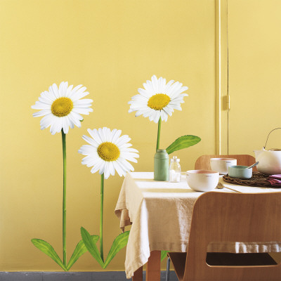 Daisies Wall Decal Daisies Wall Decal