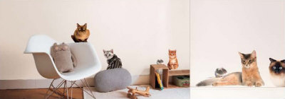 Cats Wall Decal Cats Wall Decal