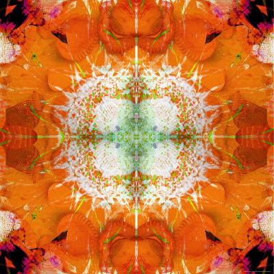 Moods of Mandala, no. 3 Photographic Print Moods of Mandala, no. 3 Photographic Print