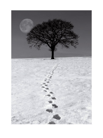 Winter Moon Print Winter Moon Print