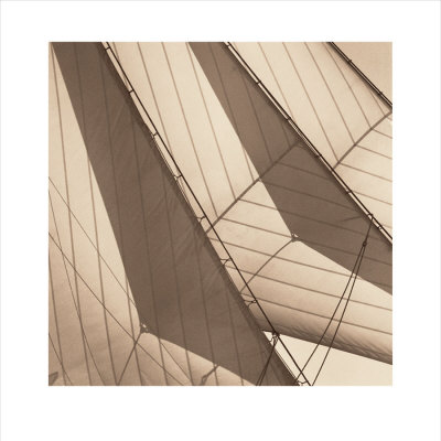 Backlit Head Sails Print Backlit Head Sails Print