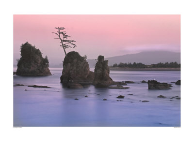 Pacific Coast Print Pacific Coast Print