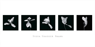 Tulips Print Tulips Print