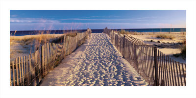 Pathway to the Beach Print Pathway to the Beach Print