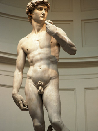 Michelangelo's Statue of David Florence Italy Other