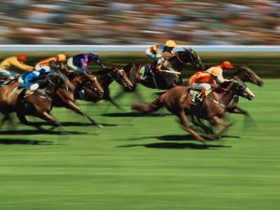 Thoroughbred Race in Action Stretched Canvas Print