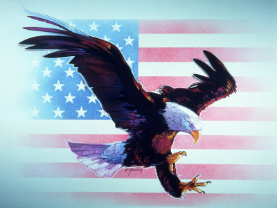 american flag wallpaper hd. american flag eagle wallpaper.