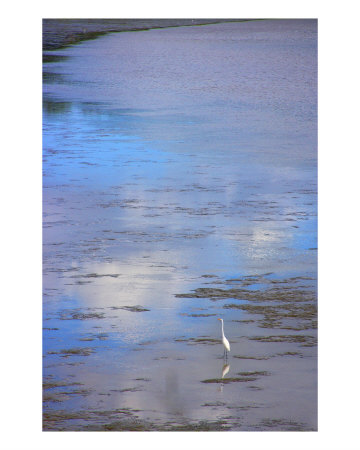 Bull River Tide Photographic Print Bull River Tide Photographic Print