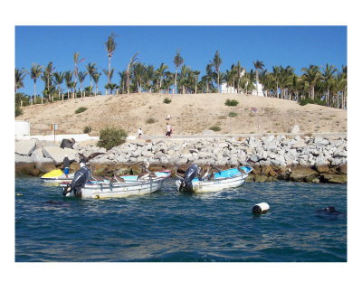 Boats In Cabo Photographic Print Boats In Cabo Photographic Print