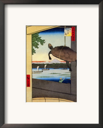 Turtle Framed Print Turtle Framed Print