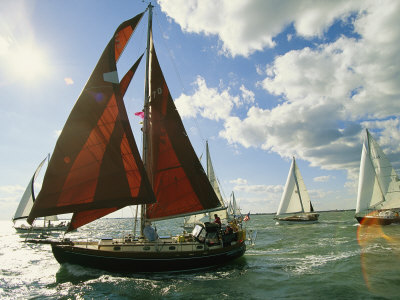 Red-Sailed Sailboat and Others in a Race on the Chesapeake Bay Stretched Canvas Print