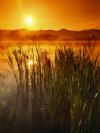 Sunrise over a Misty Pond and the Presidential Mountains Stretched Canvas Print