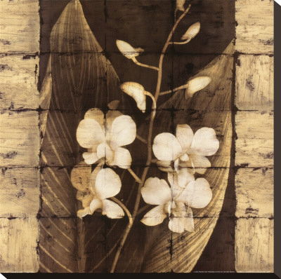Orchids in Bloom I Stretched Canvas Print Orchids in Bloom I Stretched Canvas Print