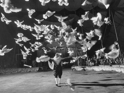 Famous Animal Trainer Vladimir Durov of the Moscow Circus Performing with His Birds Stretched Canvas Print