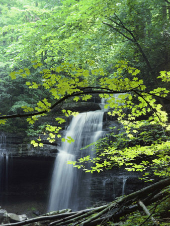 A Cascade Falls from a Rock