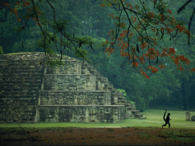 A Monkey Who Lives at the Site Walks Past a Mayan Ruin at Copan Stretched Canvas Print