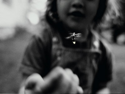 A Young Girl Reaches Out for a Firefly Stretched Canvas Print
