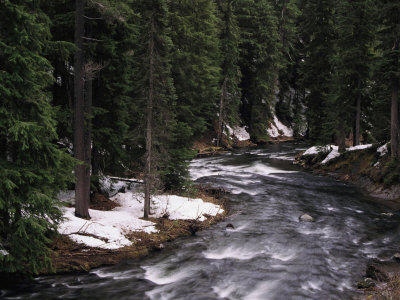 A River in Oregon Stretched Canvas Print
