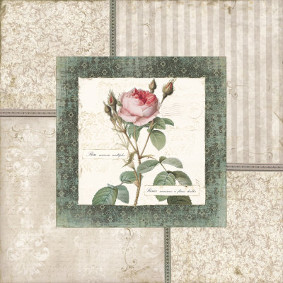 Rosa II Print Rosa II Print