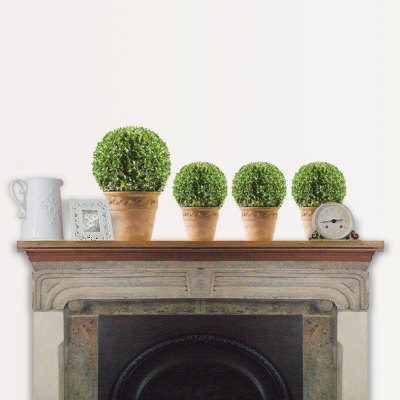 Box Topiary Wall Decal Box Topiary Wall Decal