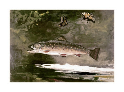 Trout Giclee Print Trout Giclee Print