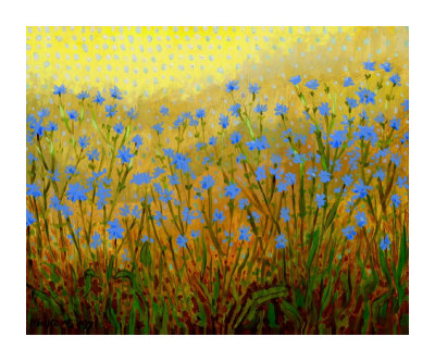 Roadside Chickory Giclee Print Roadside Chickory Giclee Print