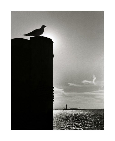 Sentinel Giclee Print Sentinel Giclee Print