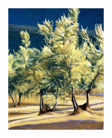 Olive Trees in Italy Giclee Print Olive Trees in Italy Giclee Print