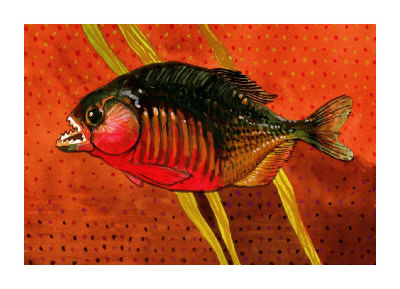 Amazon Piranha Giclee Print Amazon Piranha Giclee Print