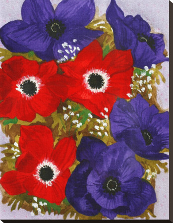 Anemones Stretched Canvas Print Anemones Stretched Canvas Print