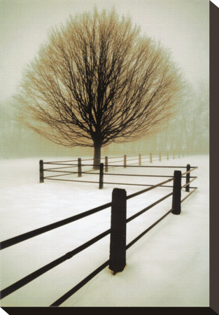 Solitude Stretched Canvas Print Solitude Stretched Canvas Print