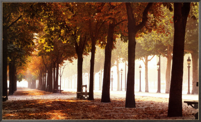 Champs-Elysees Framed Canvas Print Champs-Elysees Framed Canvas Print