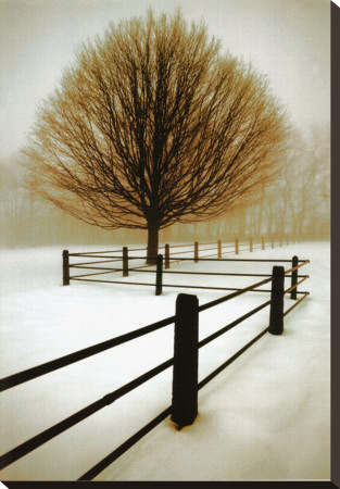 Solitude Stretched Canvas Print Solitude Stretched Canvas Print