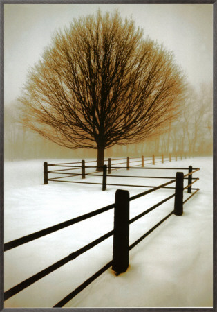 Solitude Framed Canvas Print Solitude Framed Canvas Print