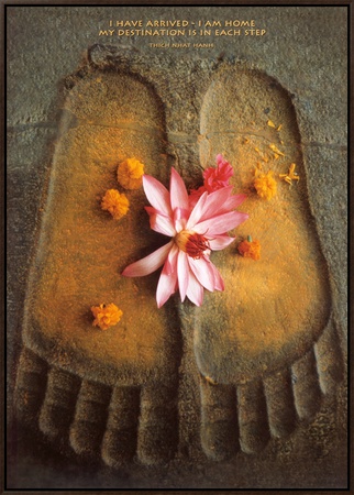 Thich Nhat Hanh, I Have Arrived Framed Canvas Print Thich Nhat Hanh, I Have Arrived Framed Canvas Print