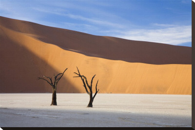Deadvlei, Namibia Stretched Canvas Print Deadvlei, Namibia Stretched Canvas Print