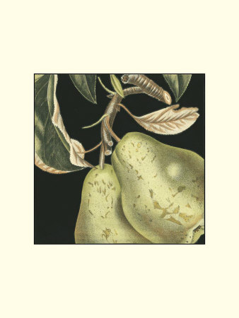Dramatic Pear Print Dramatic Pear Print