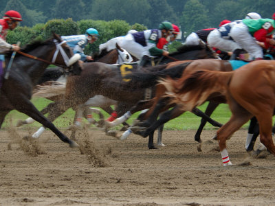 Race Horses in Action, Saratoga Springs, New York, USA Photographic Print
