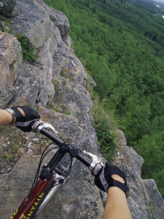 View of the Forest from a Mountian Bike Photographic Print View of the Forest from a Mountian Bike Photographic Print